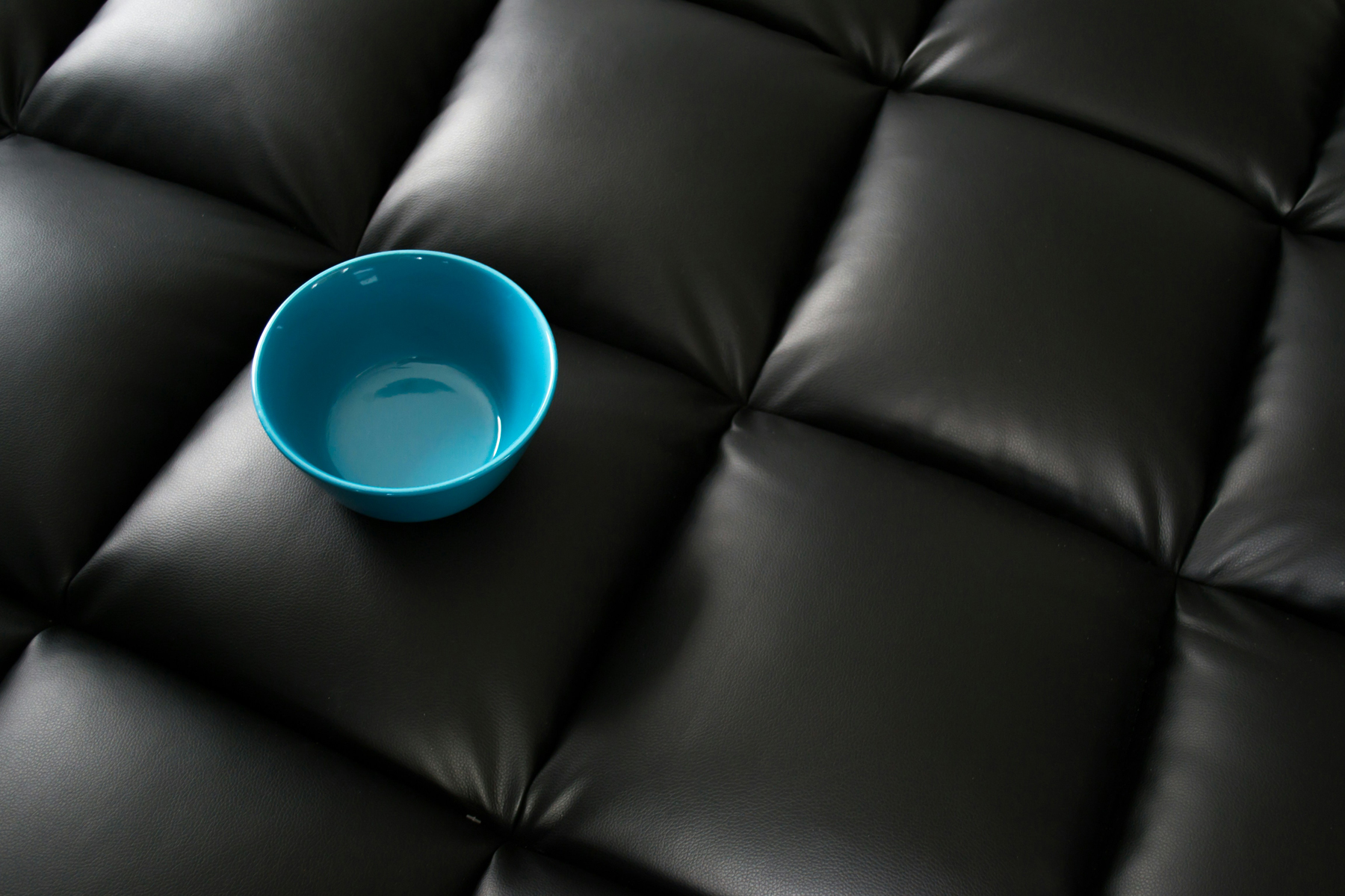 Dunkles Ledersofa in einem modernen Wohnraum